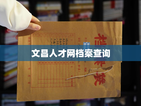 文昌人才网档案查询