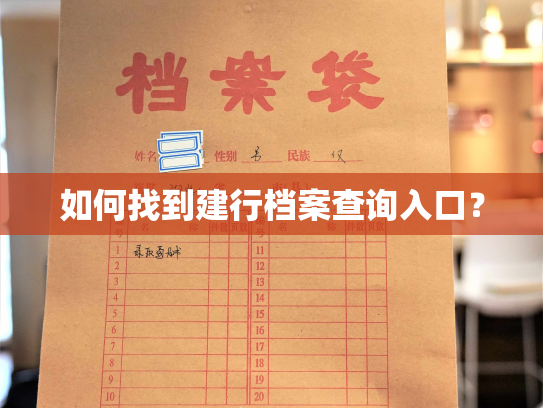 如何找到建行档案查询入口？