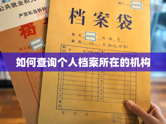 如何查询个人档案所在的机构