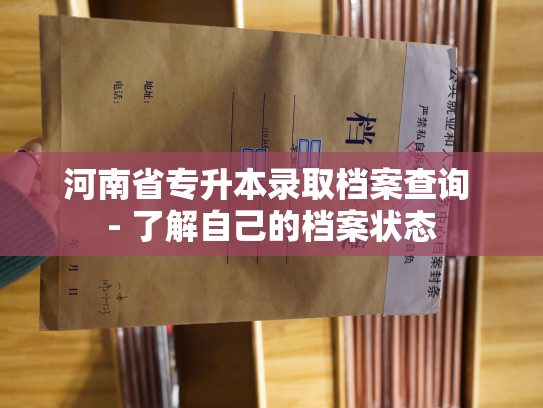 河南省专升本录取档案查询 - 了解自己的档案状态