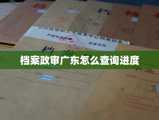 档案政审广东怎么查询进度