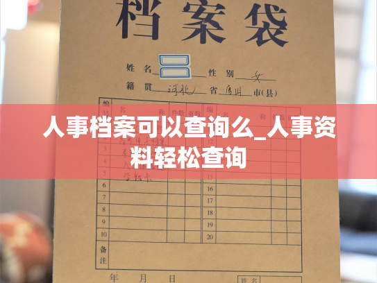 人事档案可以查询么_人事资料轻松查询