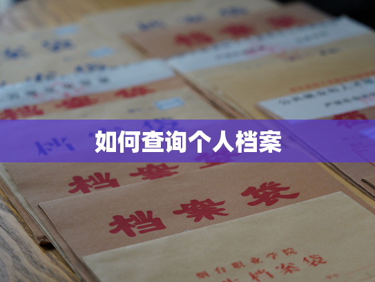 如何查询个人档案