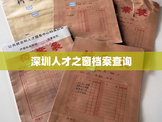 深圳人才之窗档案查询