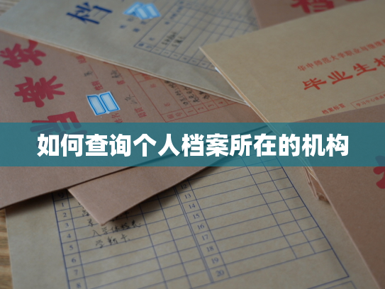 如何查询个人档案所在的机构