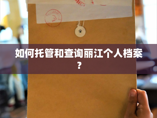 如何托管和查询丽江个人档案？