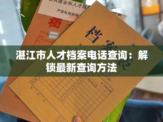 湛江市人才档案电话查询：解锁最新查询方法