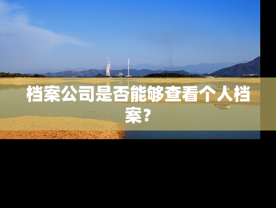 档案公司是否能够查看个人档案？