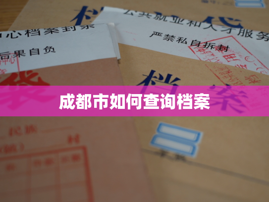 成都市如何查询档案