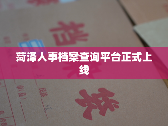 菏泽人事档案查询平台正式上线