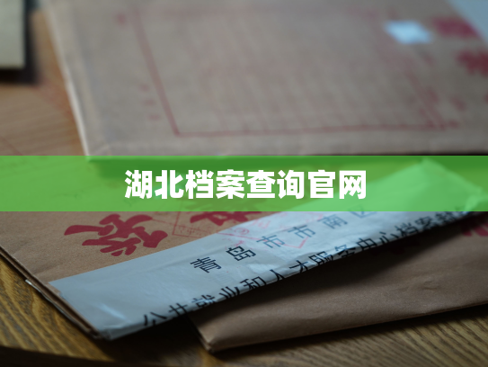 湖北档案查询官网