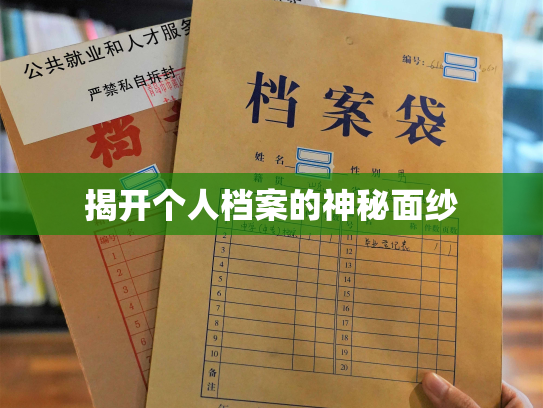 揭开个人档案的神秘面纱