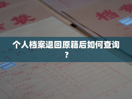 个人档案退回原籍后如何查询？