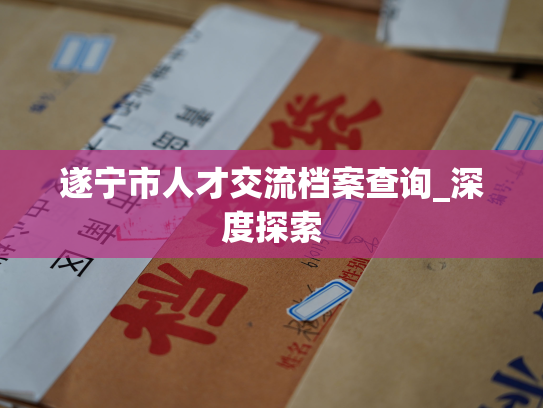 遂宁市人才交流档案查询_深度探索