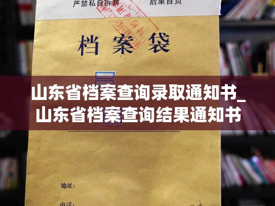 山东省档案查询录取通知书_山东省档案查询结果通知书