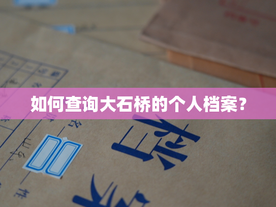 如何查询大石桥的个人档案？