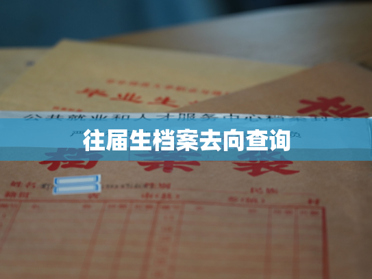 往届生档案去向查询