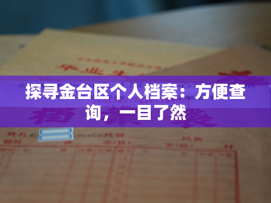 探寻金台区个人档案：方便查询，一目了然