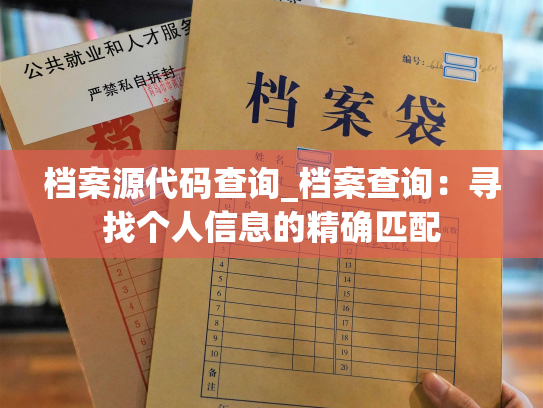 档案源代码查询_档案查询：寻找个人信息的精确匹配