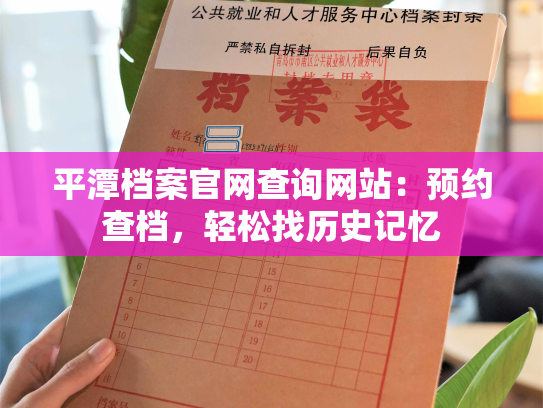 平潭档案官网查询网站：预约查档，轻松找历史记忆