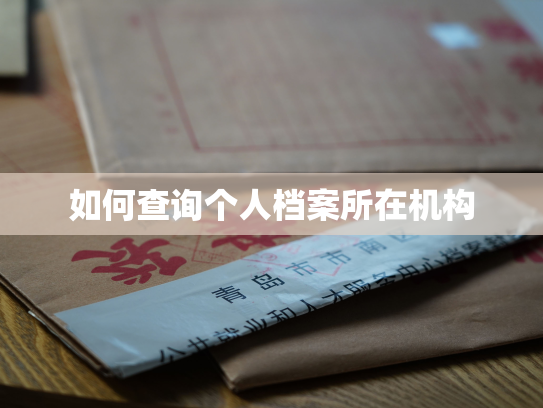 如何查询个人档案所在机构