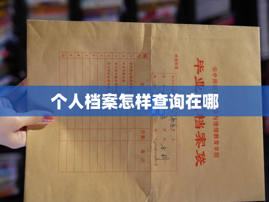 个人档案怎样查询在哪