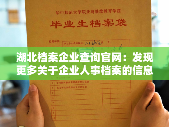 湖北档案企业查询官网：发现更多关于企业人事档案的信息