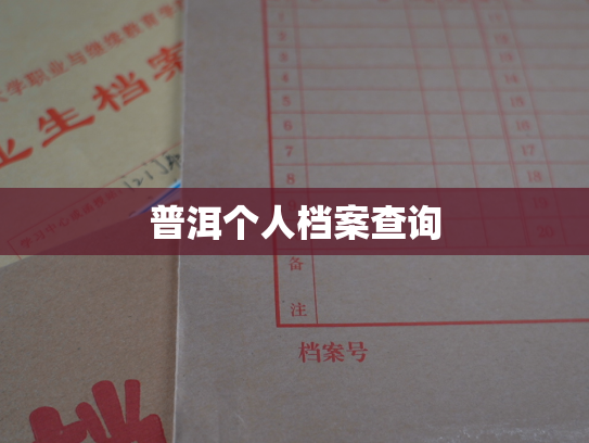 普洱个人档案查询