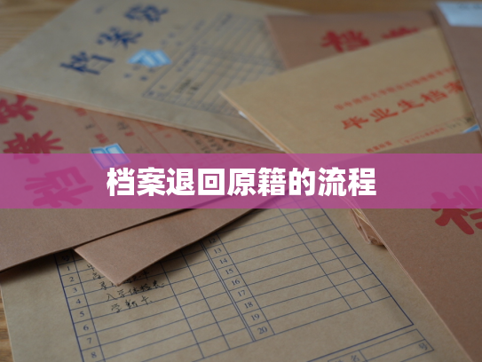 档案退回原籍的流程