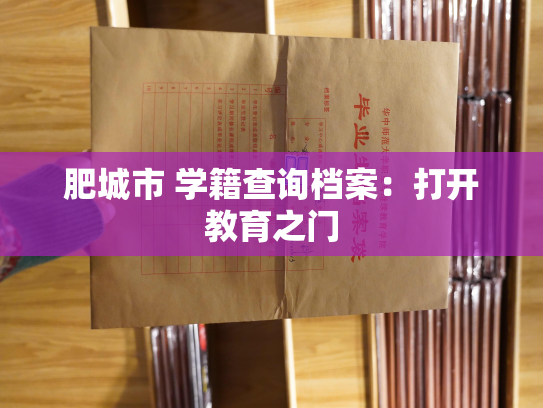 肥城市 学籍查询档案：打开教育之门