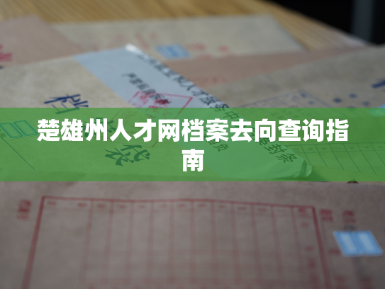 楚雄州人才网档案去向查询指南