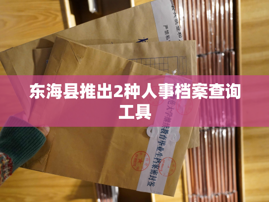东海县推出2种人事档案查询工具