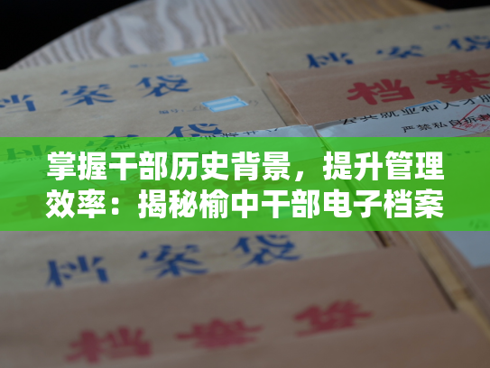 掌握干部历史背景，提升管理效率：揭秘榆中干部电子档案平台