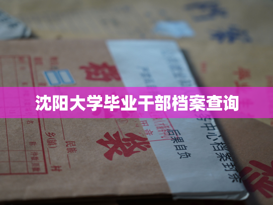 沈阳大学毕业干部档案查询