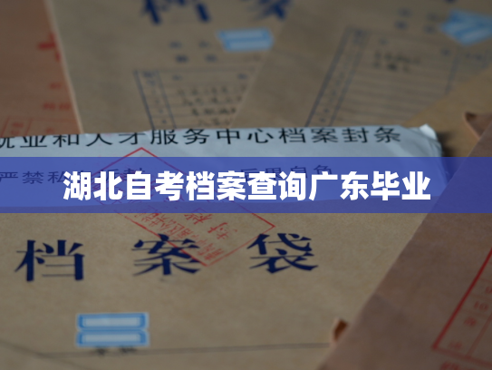 湖北自考档案查询广东毕业