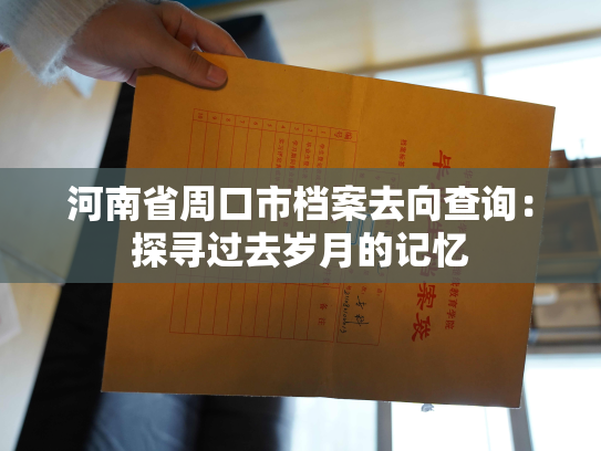 河南省周口市档案去向查询：探寻过去岁月的记忆