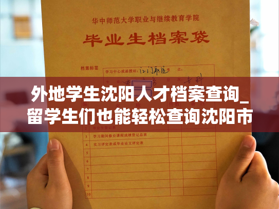 外地学生沈阳人才档案查询_留学生们也能轻松查询沈阳市人才档案