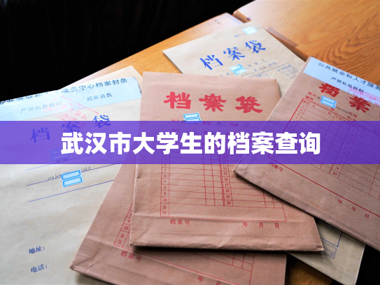 武汉市大学生的档案查询