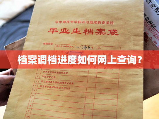 档案调档进度如何网上查询？
