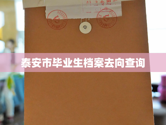 泰安市毕业生档案去向查询