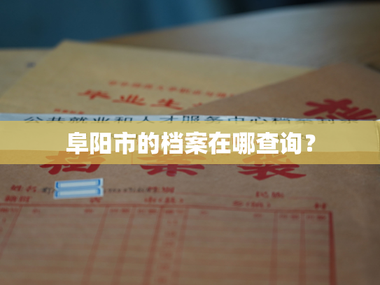 阜阳市的档案在哪查询？