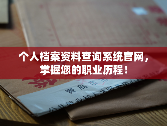 个人档案资料查询系统官网，掌握您的职业历程！