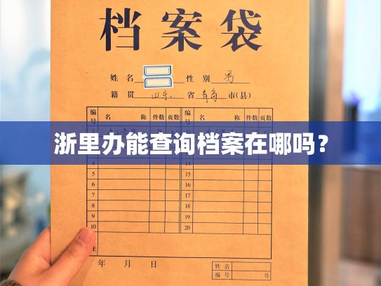 浙里办能查询档案在哪吗？