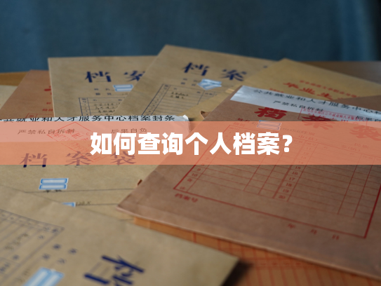 如何查询个人档案？