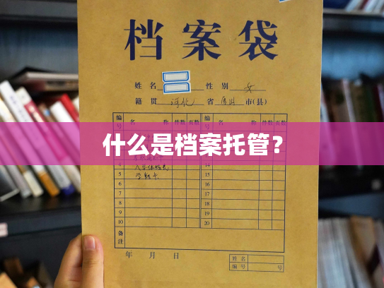 什么是档案托管？