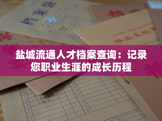 盐城流通人才档案查询：记录您职业生涯的成长历程