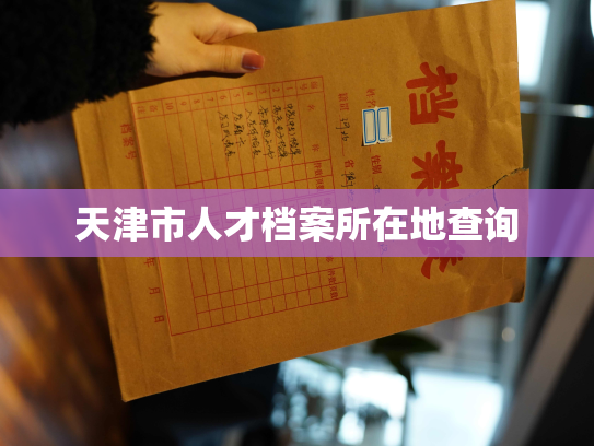 天津市人才档案所在地查询