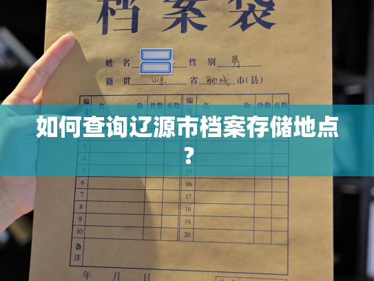 如何查询辽源市档案存储地点？
