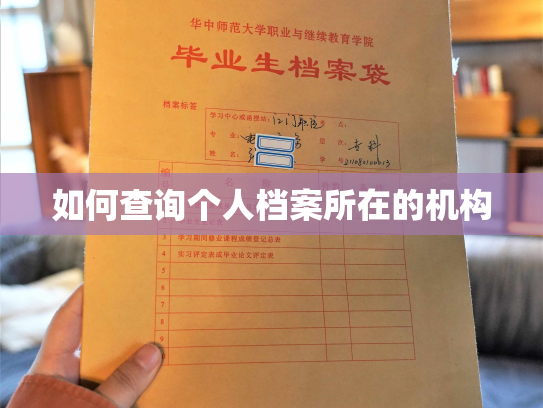 如何查询个人档案所在的机构
