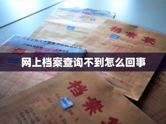 网上档案查询不到怎么回事